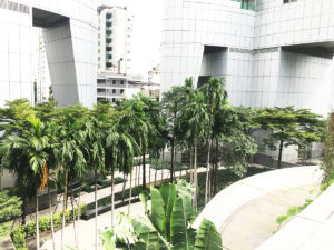 millennium-residence-bangkok-greenery